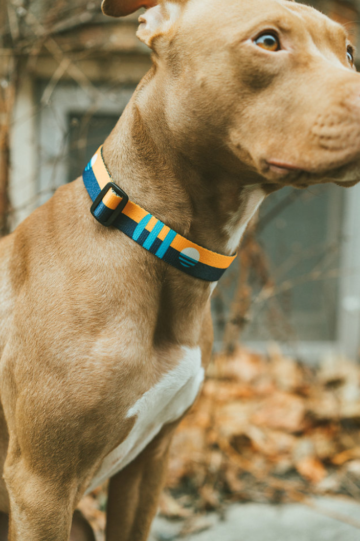 Wander & Co. MKE Flag Collar