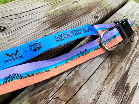 Wander & Co. SW Adventure Collar