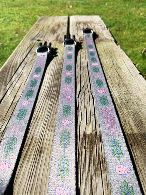 Wander & Co. Hoppy Pup Collar