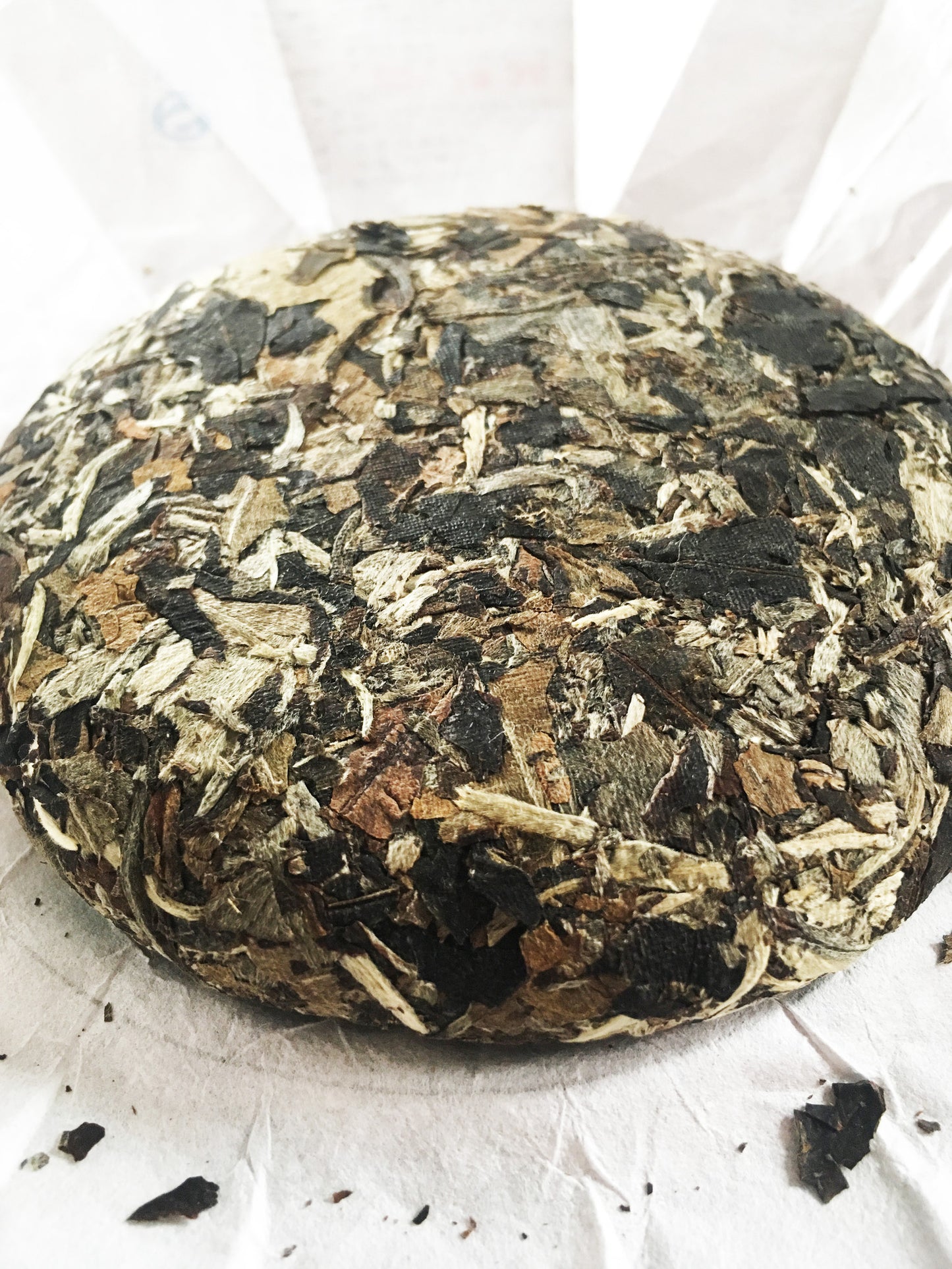 Wander & Co. White Tea