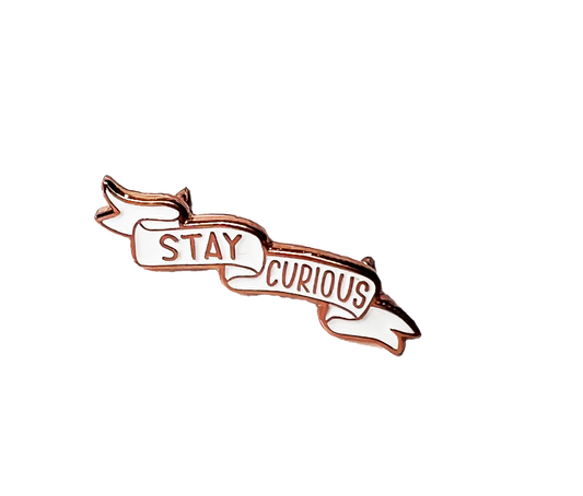 Stay Curious Pennant Enamel Pin