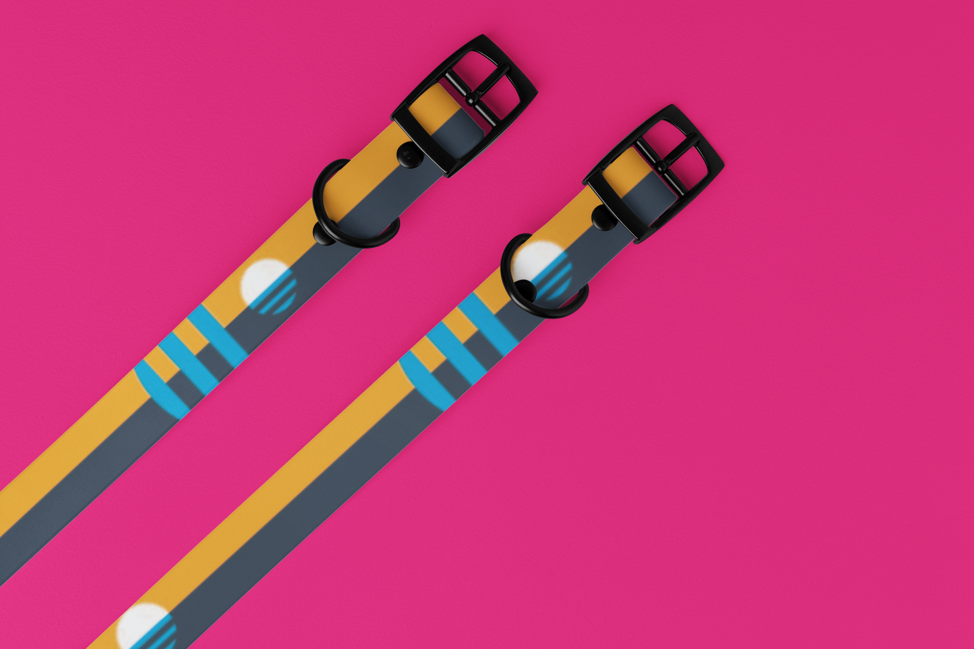 Wander & Co. MKE Flag Collar