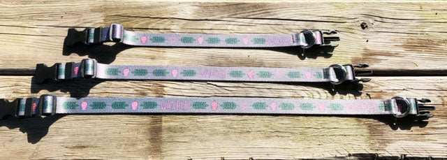 Wander & Co. Hoppy Pup Collar