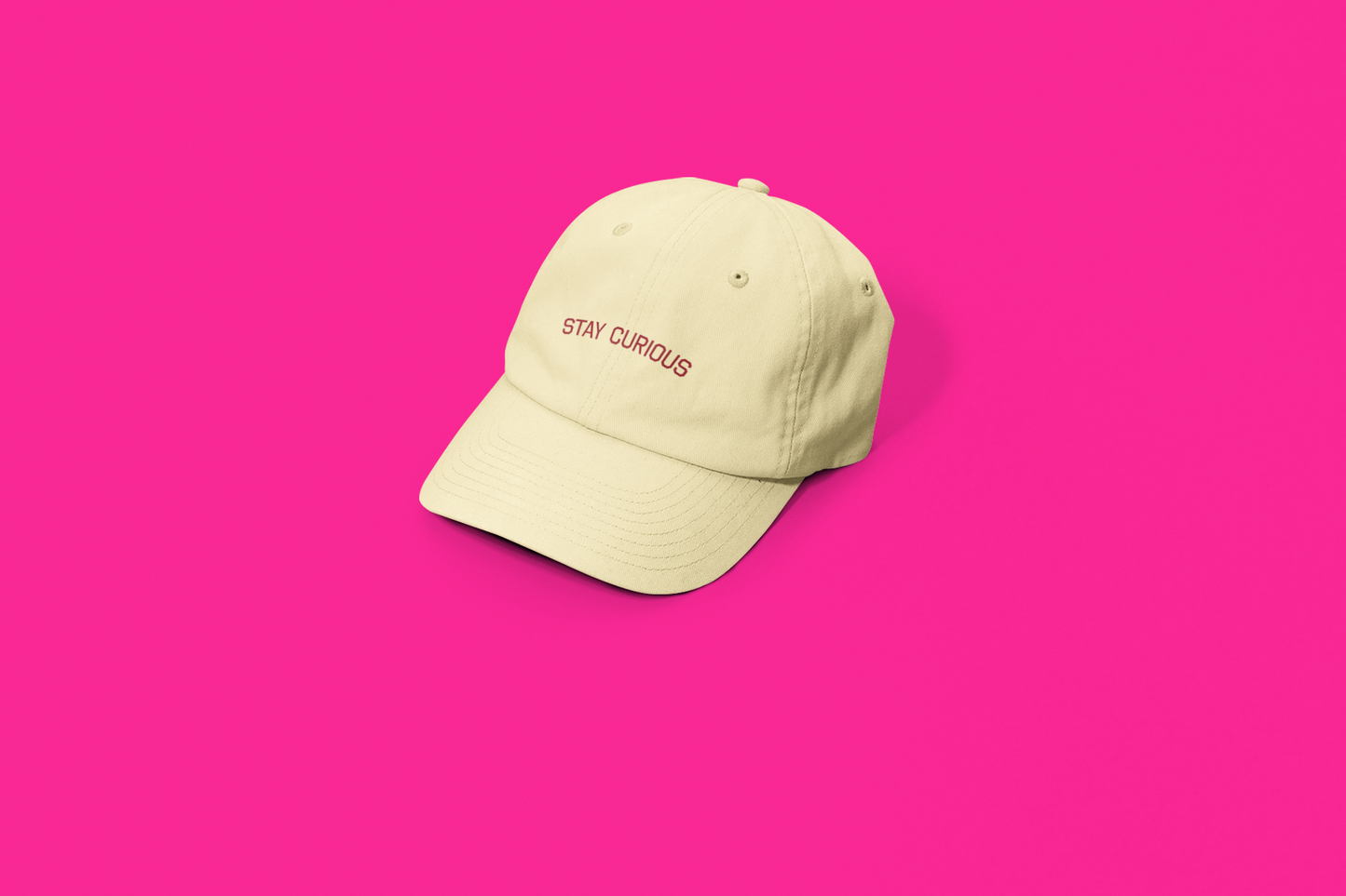 Stay Curious Hat