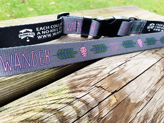 Wander & Co. Hoppy Pup Collar